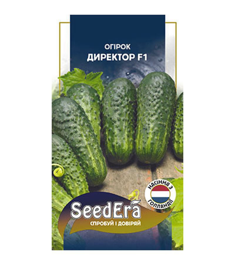 ДИРЕКТОР F1 10 шт