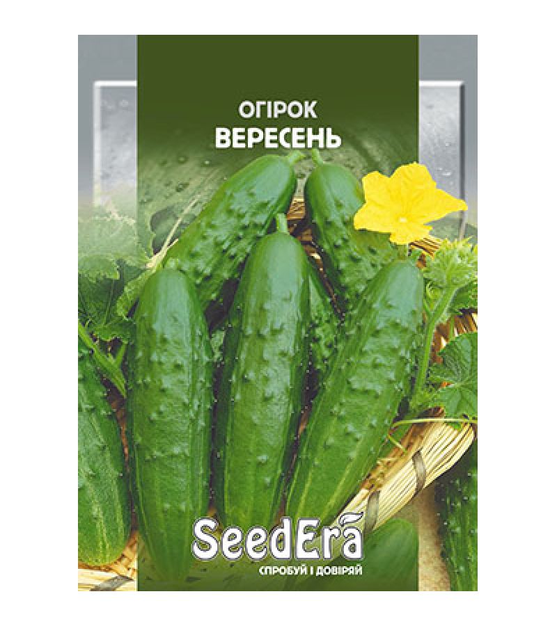 ВЕРЕСЕНЬ 10 г